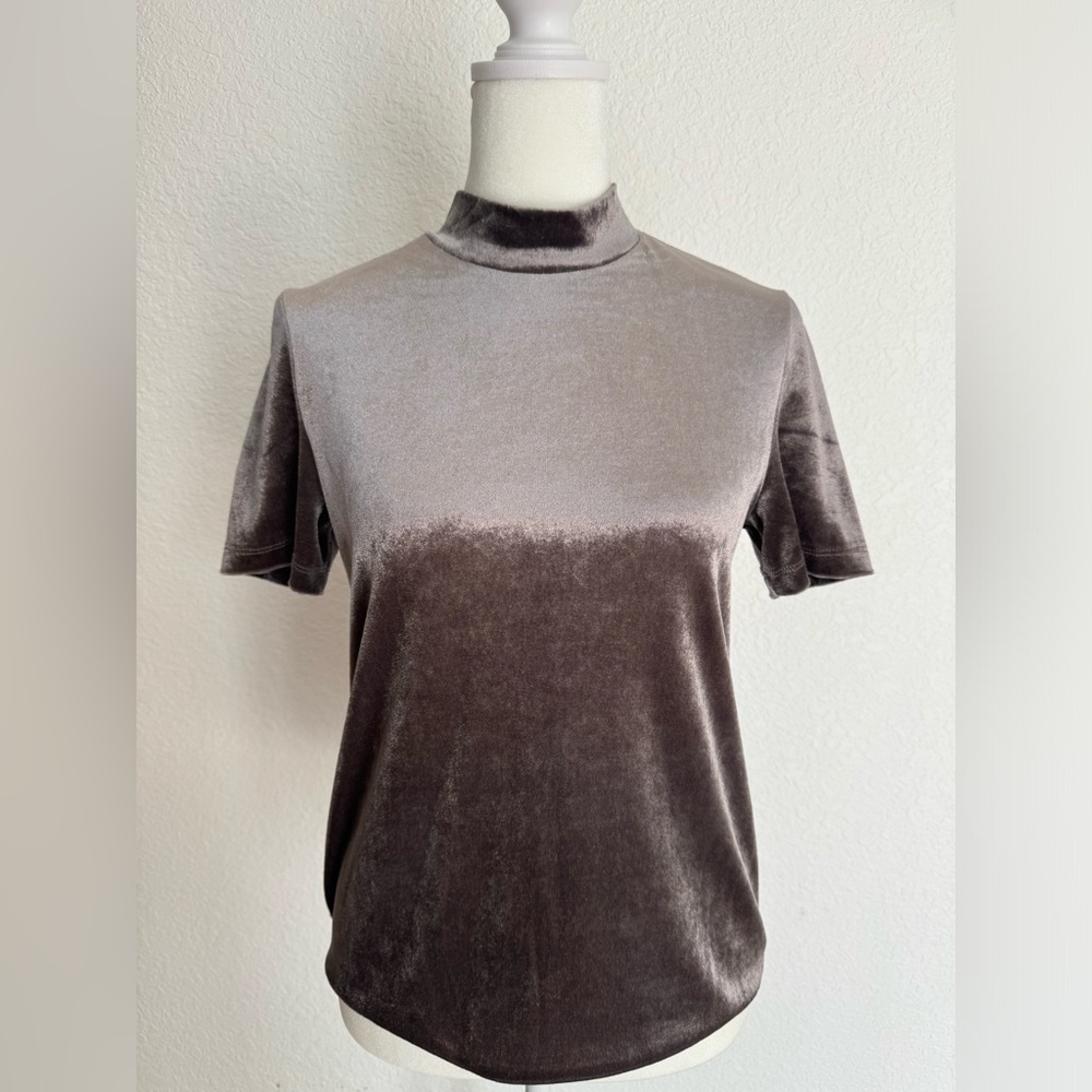 Zara Trafaluc Velvet top
